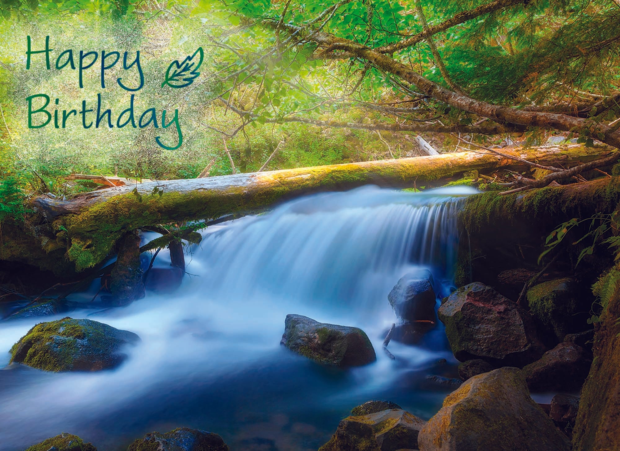 Card Design 1 Front Message - Happy Birthday