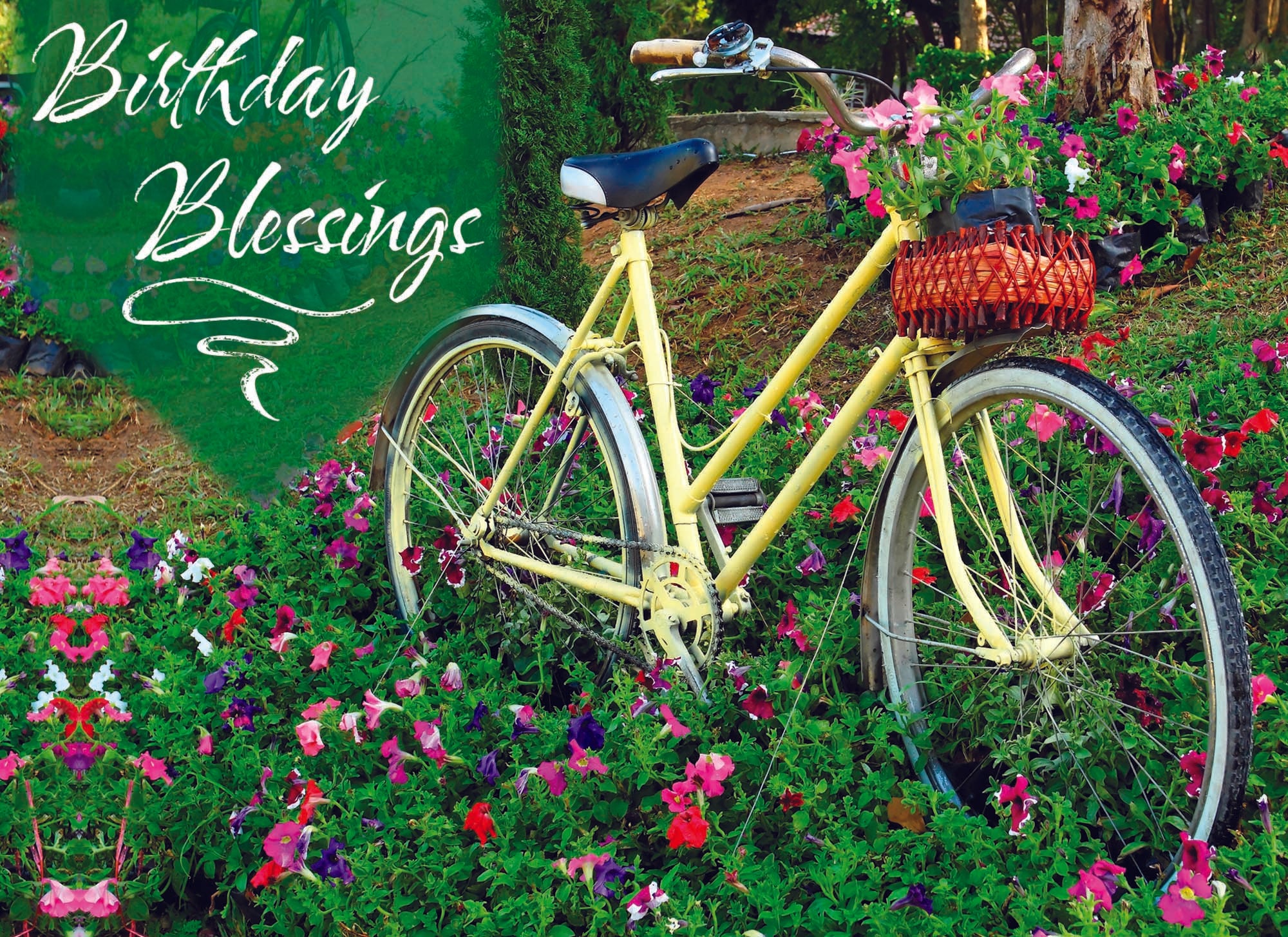 Value Assortment No.1 - Assorted All Occasion, Box of 48