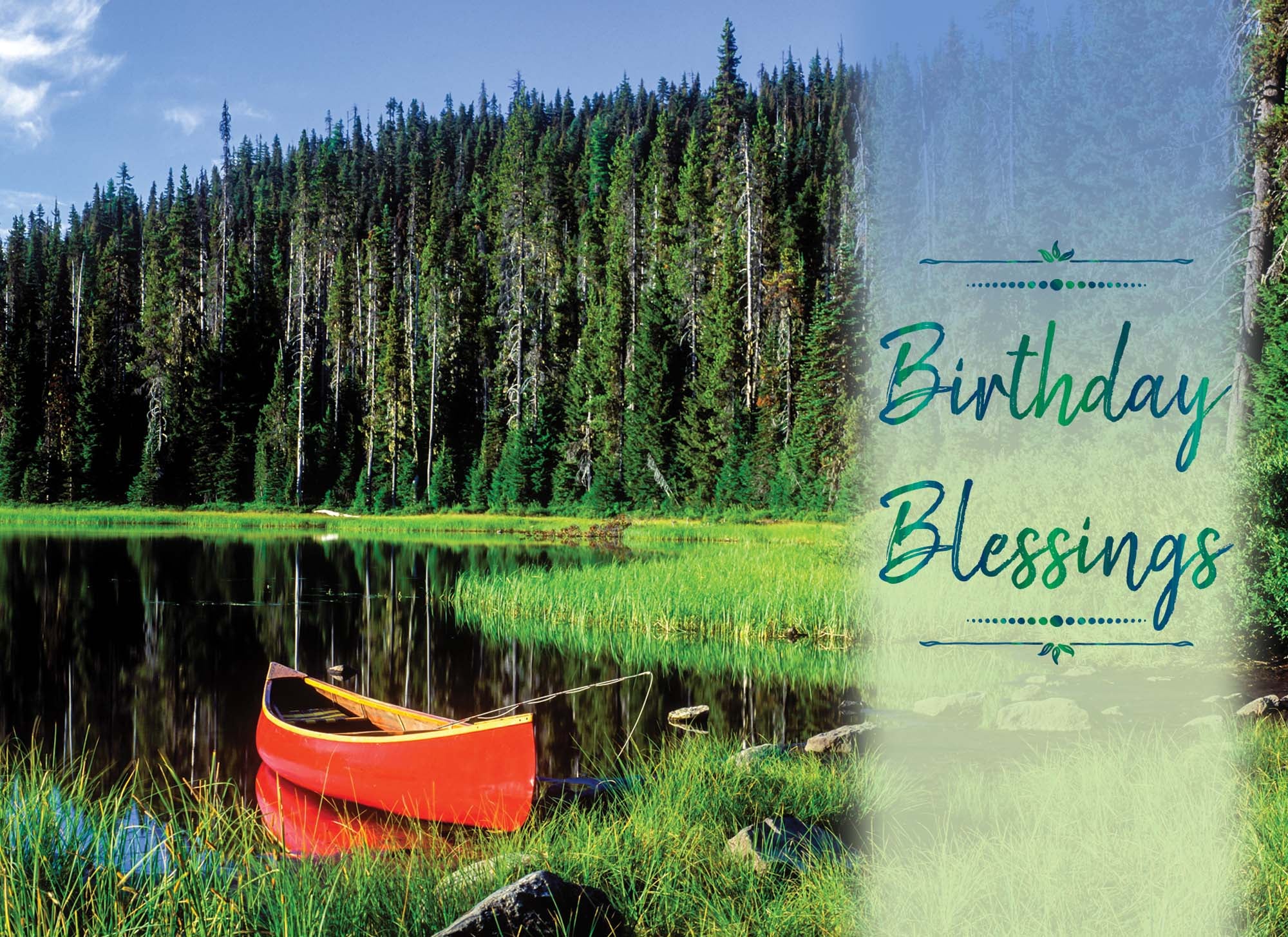 Christian Birthday Cards by Shared Blessings - Celebrations, 48 Assorted Cards