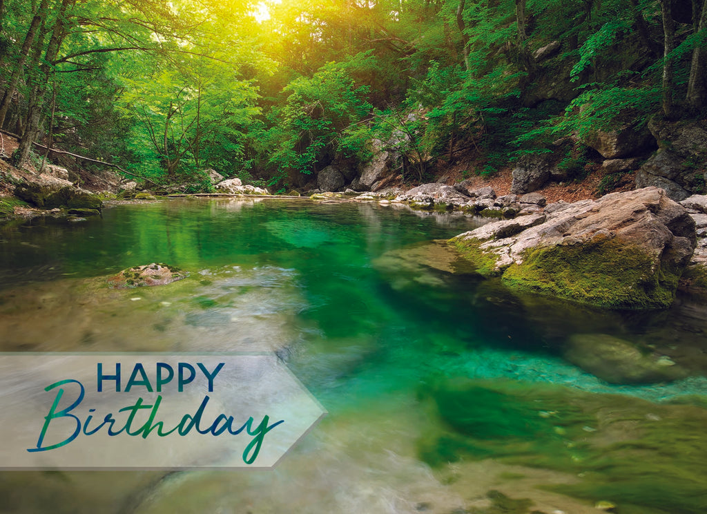 Value Assortment No.1 - Assorted All Occasion, Box of 48