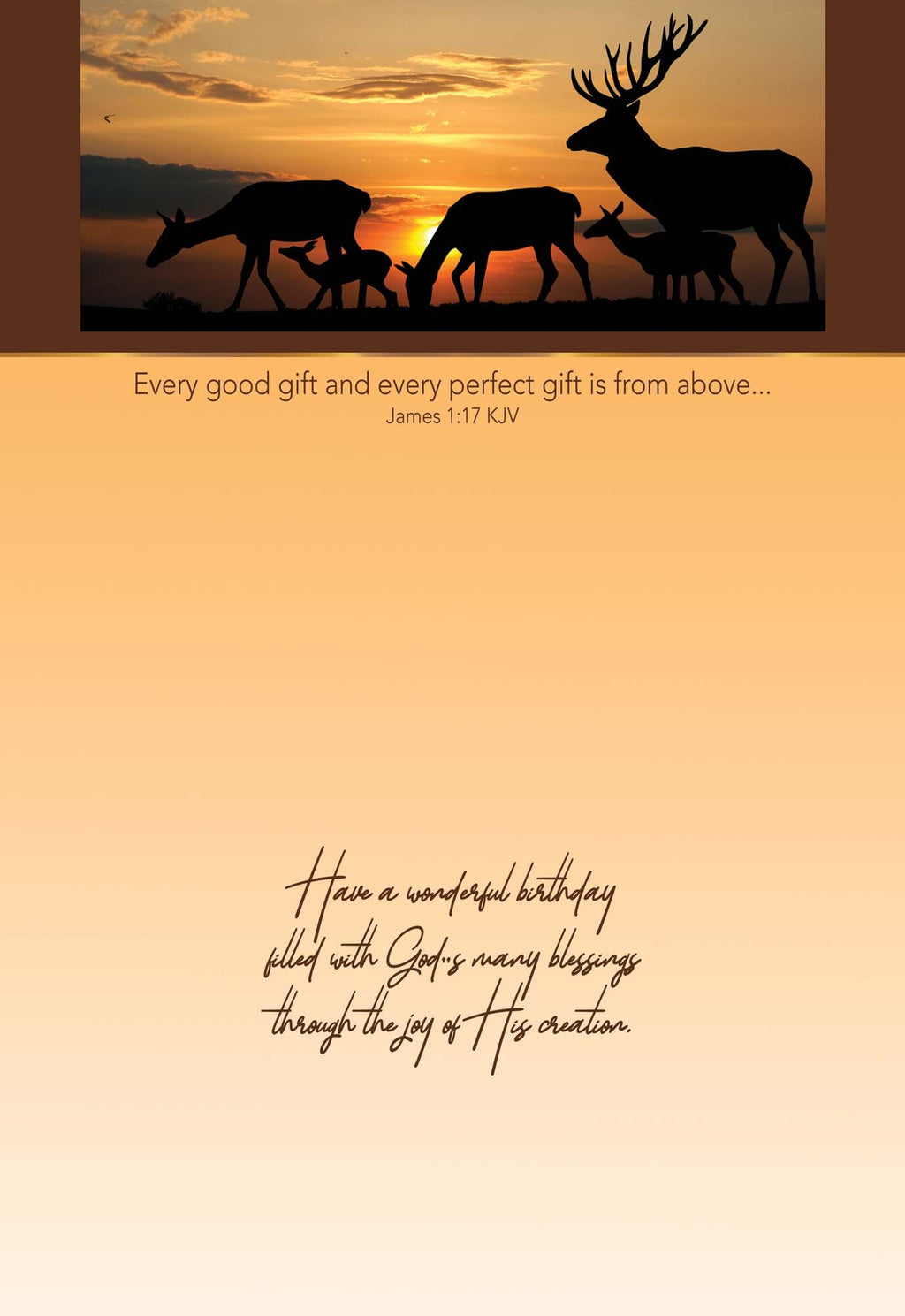 Christian Birthday Cards by Shared Blessings - Celebrations, 48 Assorted Cards