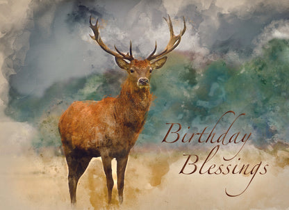 Birthday - Wildlife - Assorted Birthday Cards