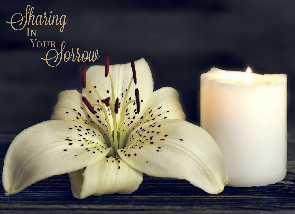 Value Assortment No.1 - Assorted All Occasion, Box of 48