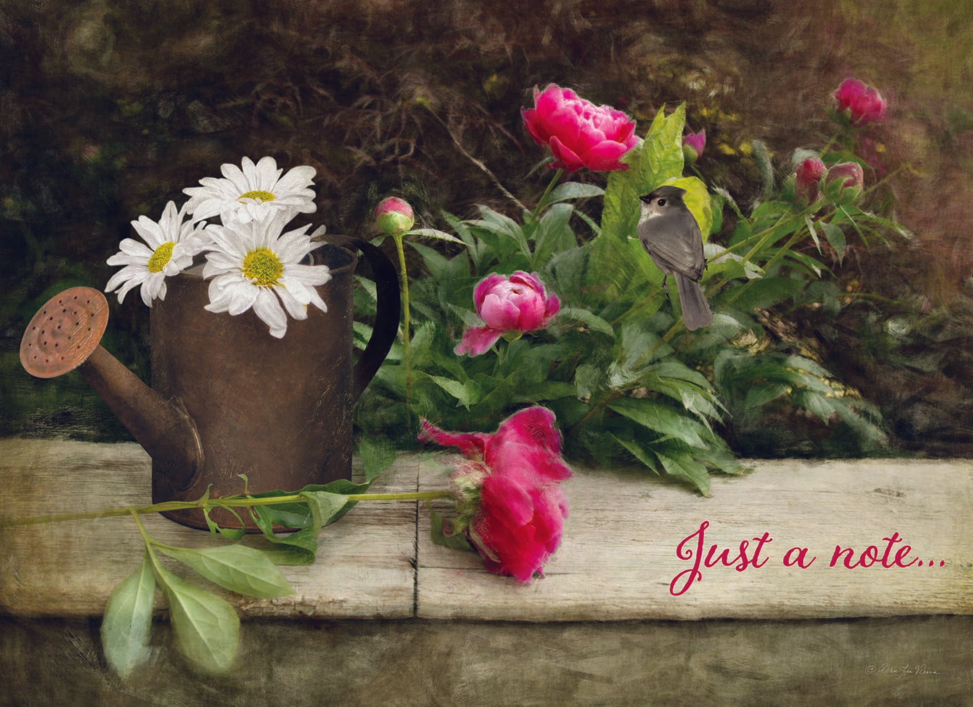 Christian Thinking of You Cards by Shared Blessings- Florally Yours, 12 Cards and Envelopes