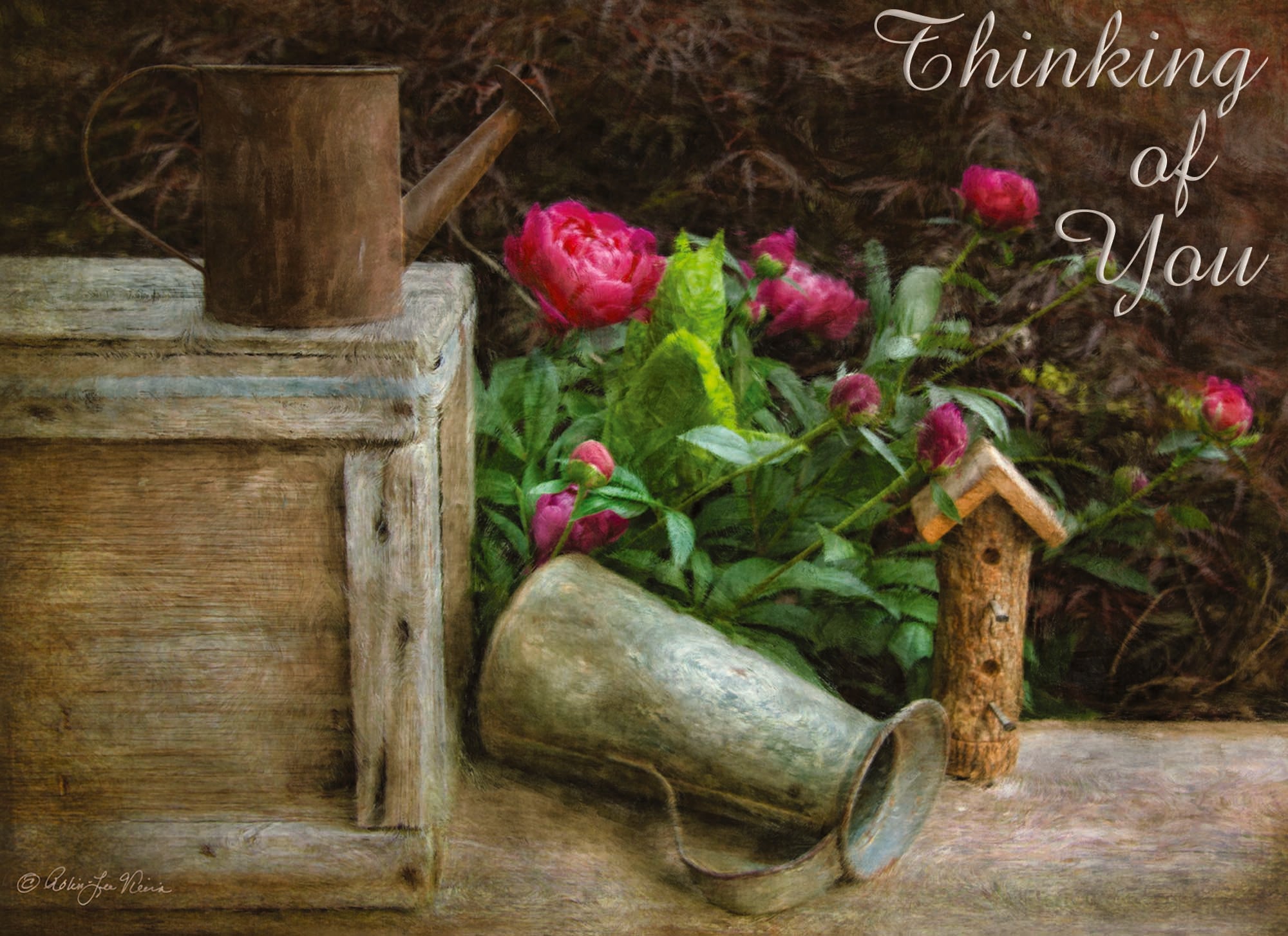 Christian Thinking of You Cards by Shared Blessings- Florally Yours, 12 Cards and Envelopes