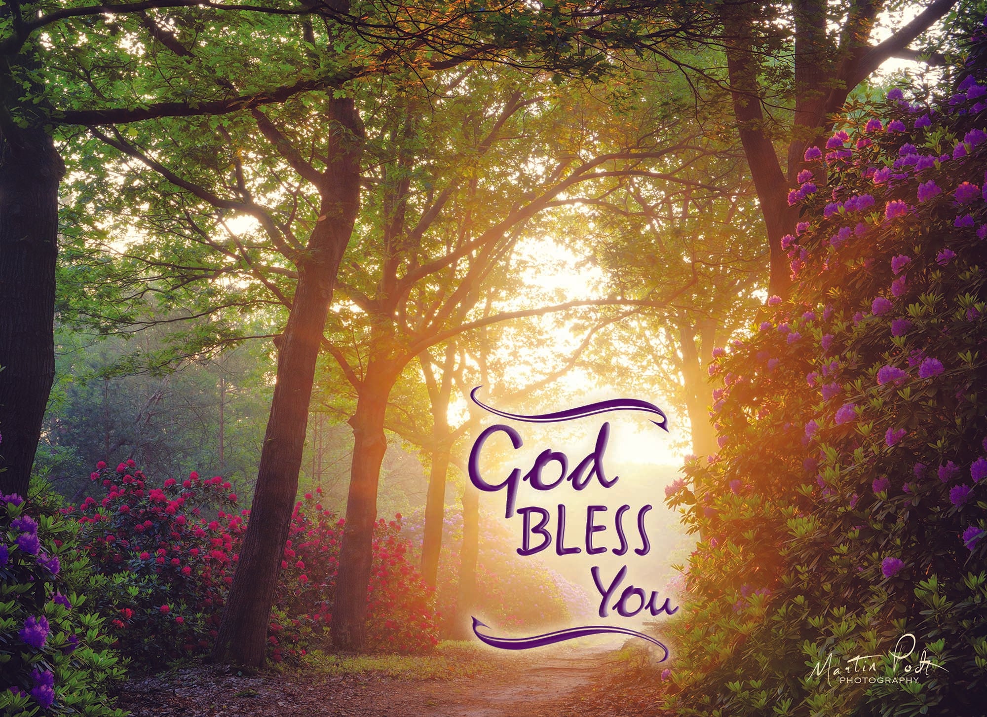 Christian Thinking of You Cards by Shared Blessings- Peaceful Paths, 12 Cards and Envelopes