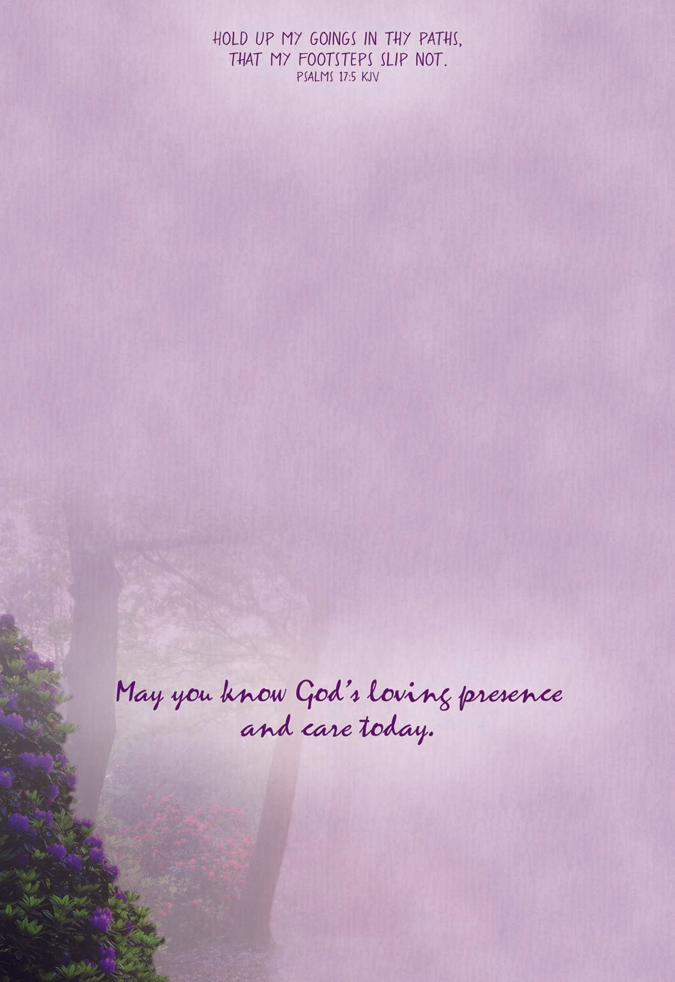 Christian Thinking of You Cards by Shared Blessings- Peaceful Paths, 12 Cards and Envelopes