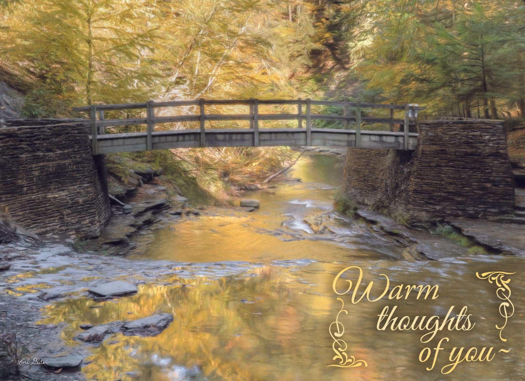 Christian Thinking of You Cards by Shared Blessings- Peaceful Paths, 12 Cards and Envelopes