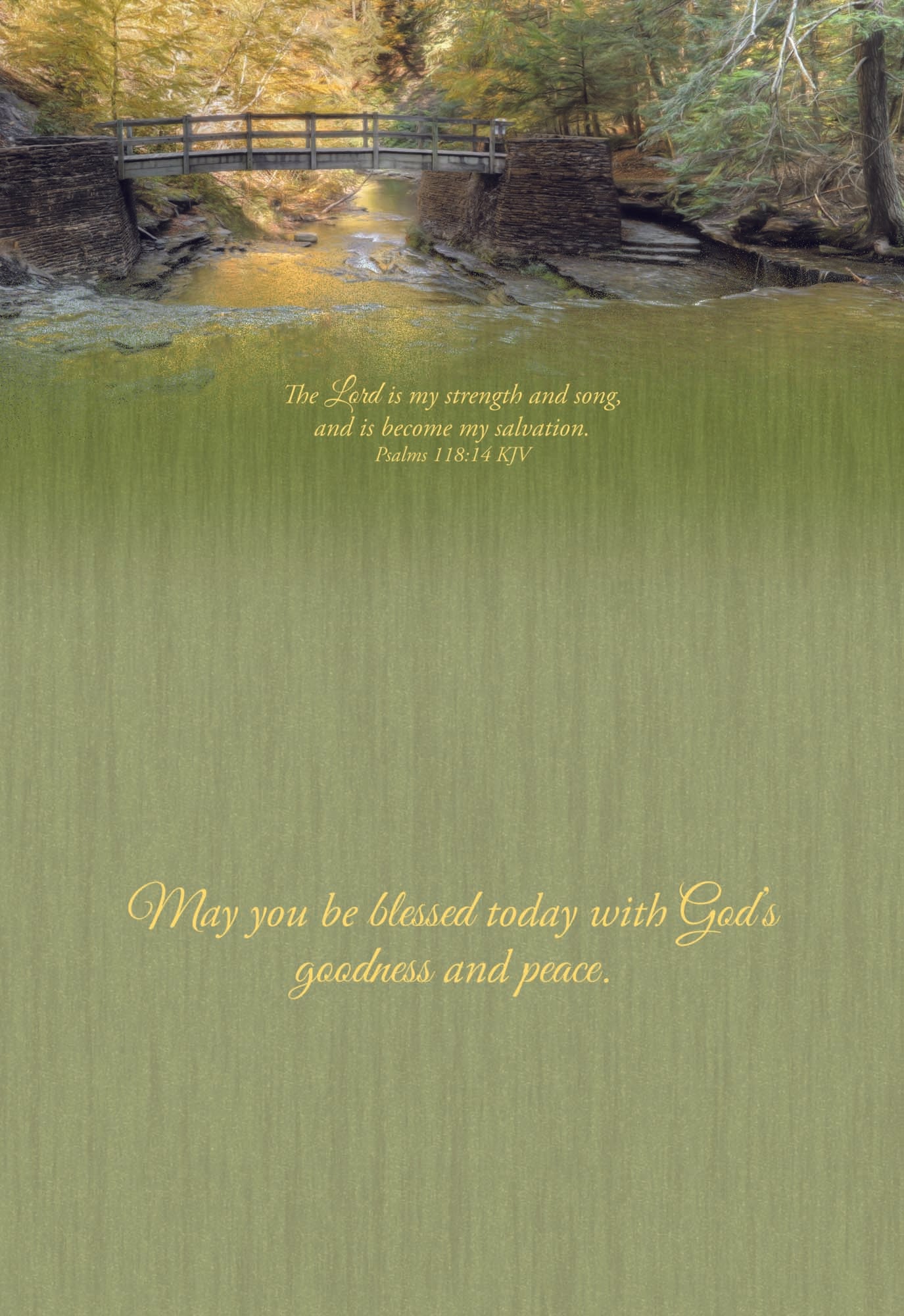 Christian Thinking of You Cards by Shared Blessings- Peaceful Paths, 12 Cards and Envelopes
