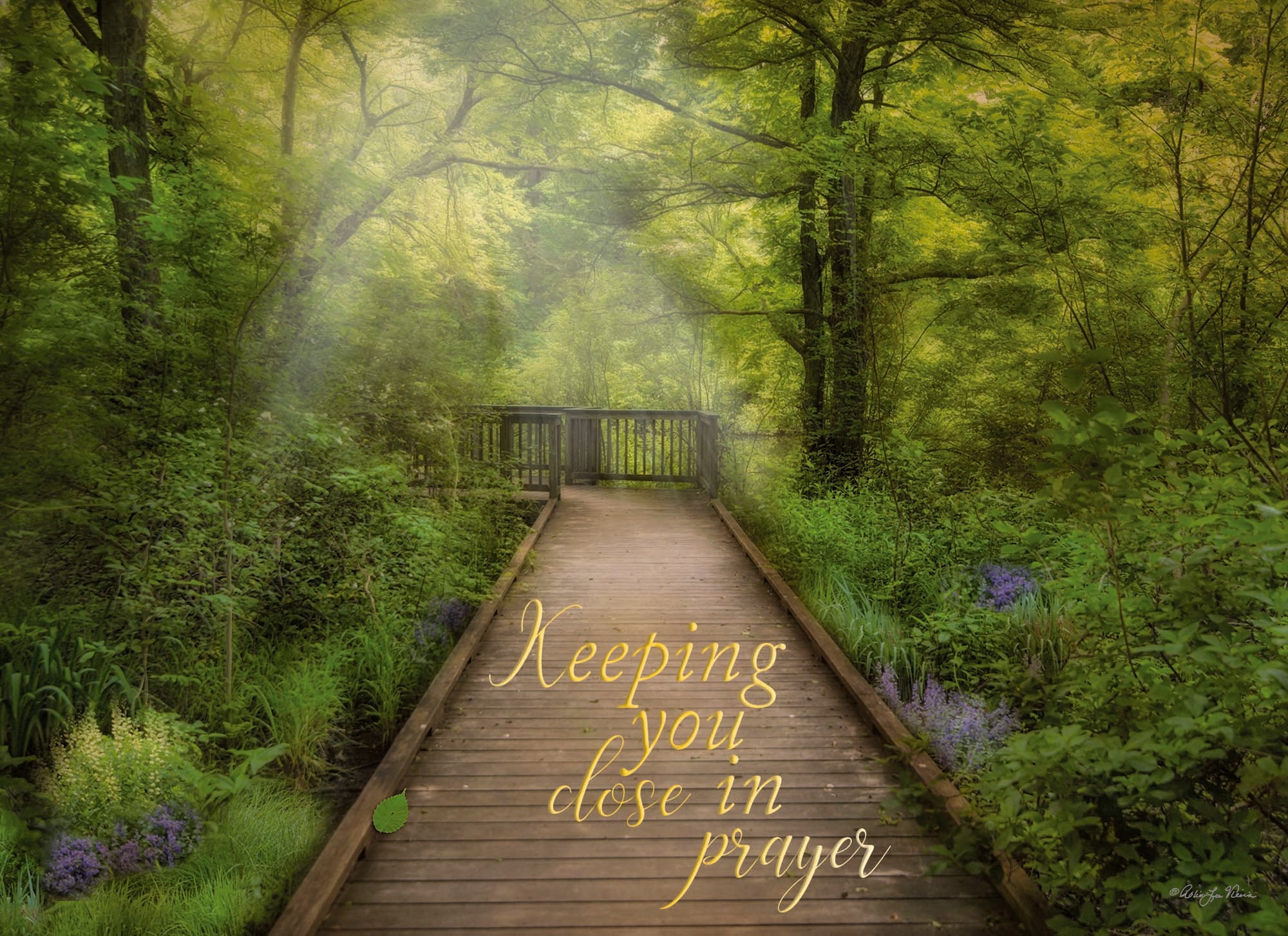 Christian Thinking of You Cards by Shared Blessings- Peaceful Paths, 12 Cards and Envelopes