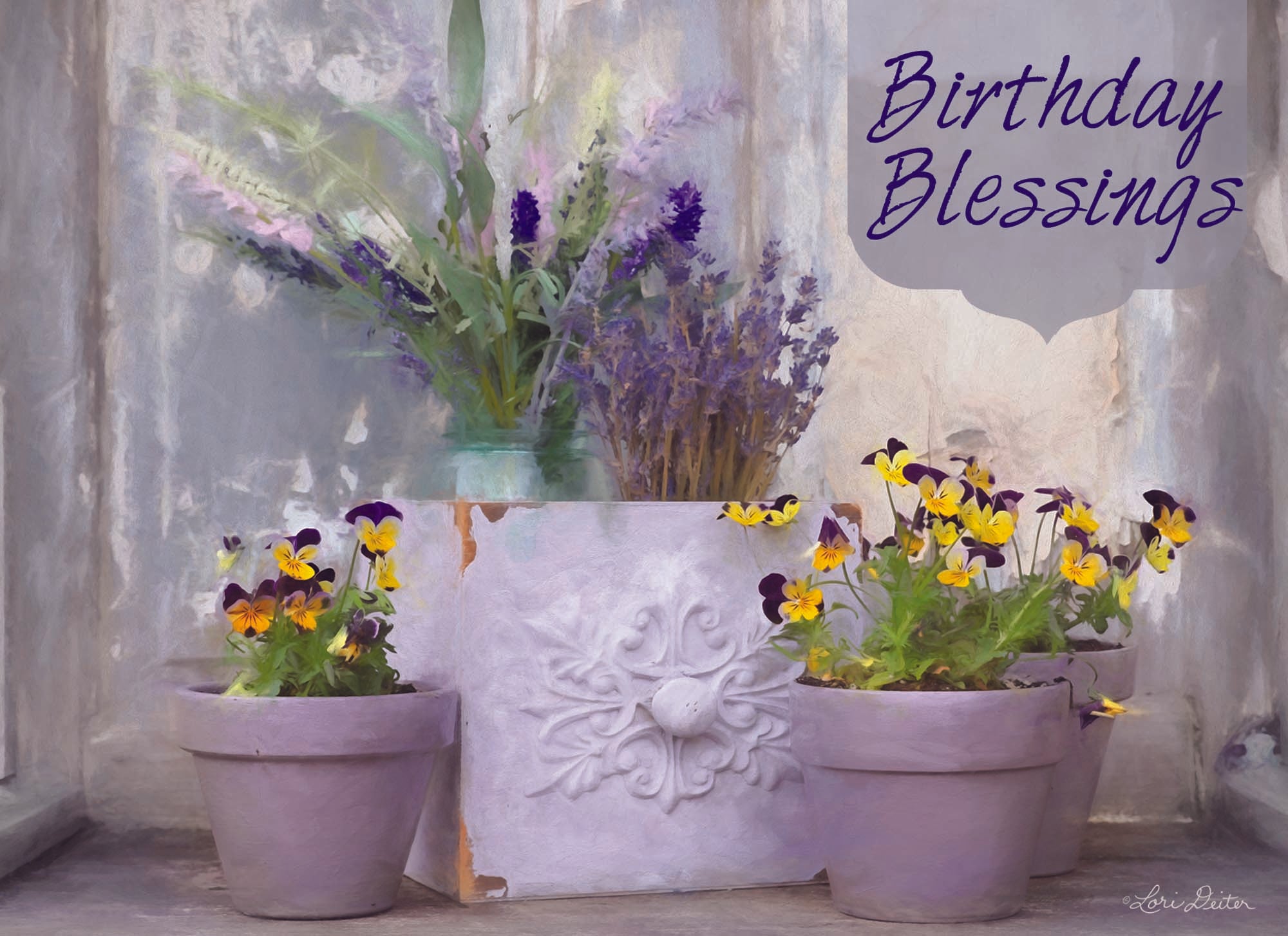 Christian Birthday Cards by Shared Blessings- Floral Celebration, Box of 12 Birthday Cards