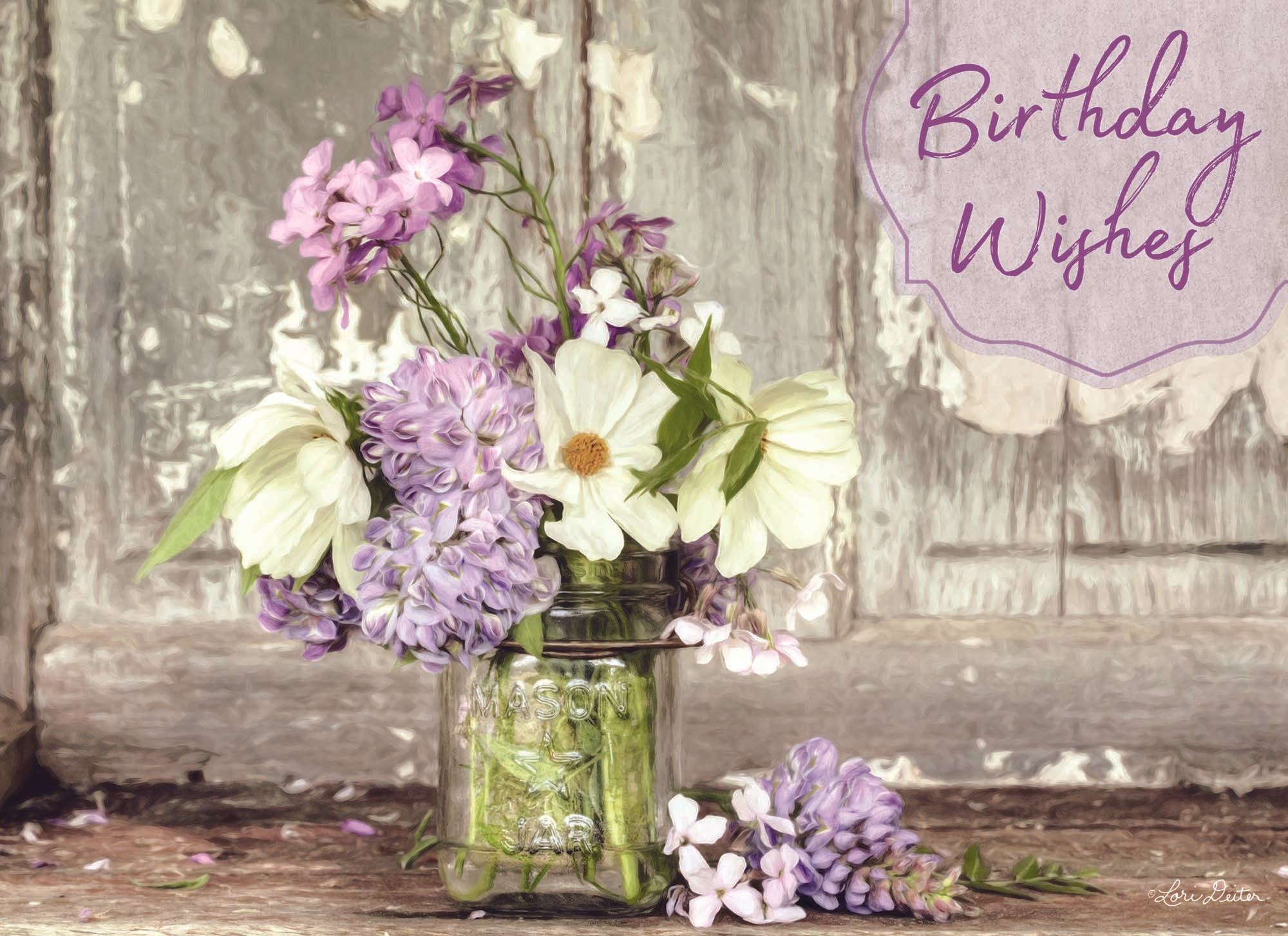 Christian Birthday Cards by Shared Blessings- Floral Celebration, Box of 12 Birthday Cards