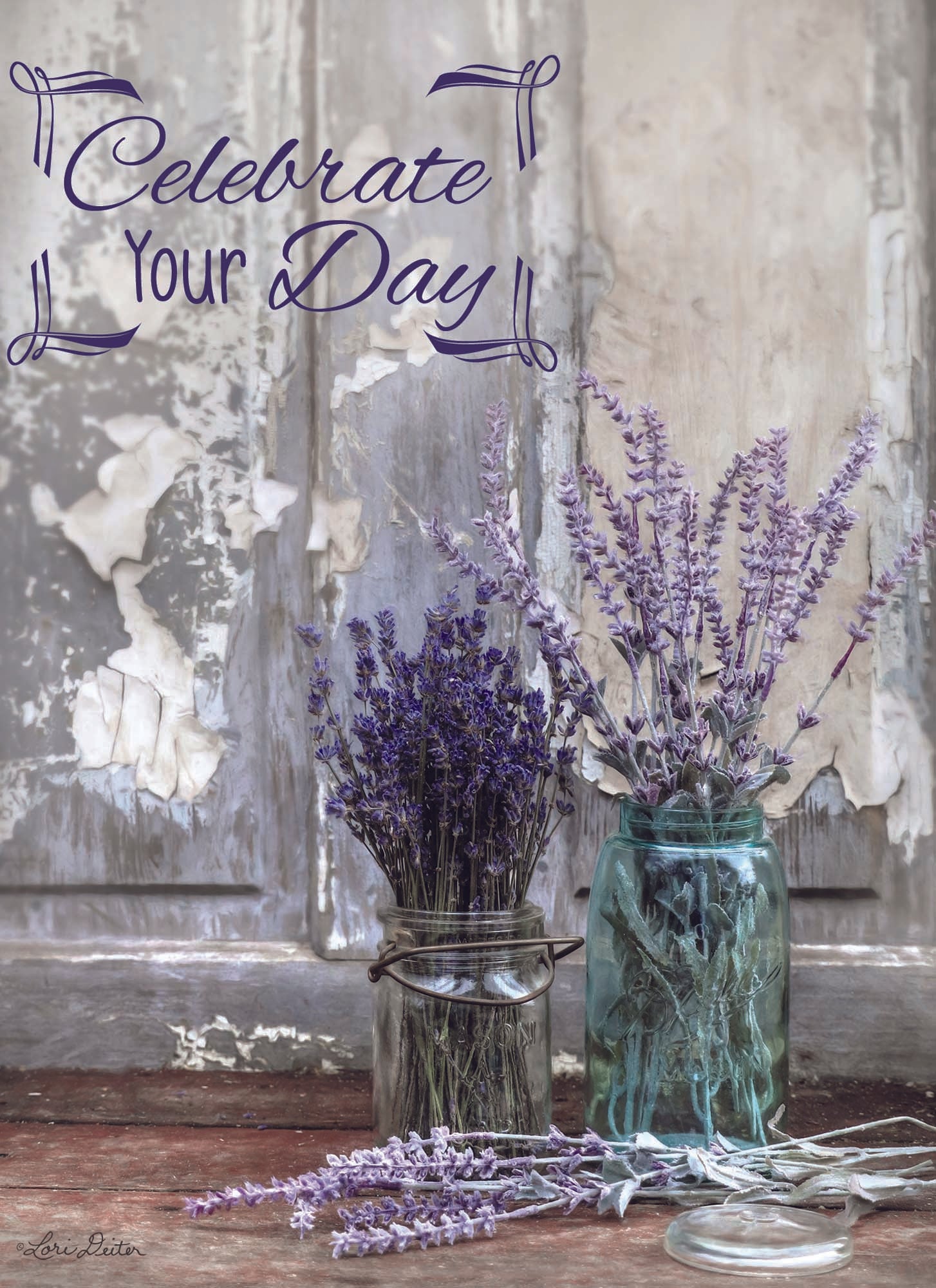 Christian Birthday Cards by Shared Blessings- Floral Celebration, Box of 12 Birthday Cards