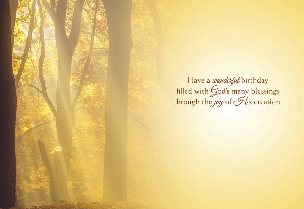 Christian Birthday Cards by Shared Blessings- Rays of Light, Box of 12 Cards