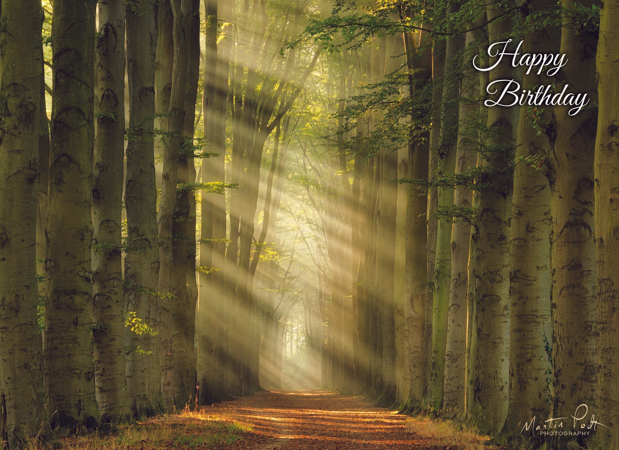 Christian Birthday Cards by Shared Blessings- Rays of Light, Box of 12 Cards