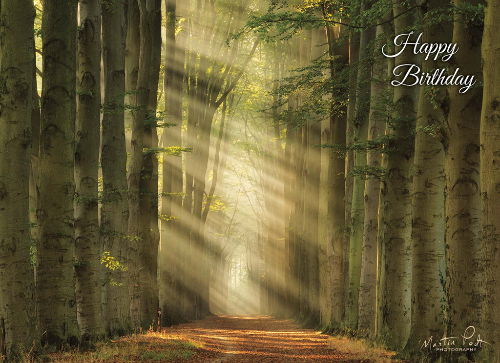 Christian Birthday Cards by Shared Blessings - It's Your Birthday, 24 Cards and Envelopes