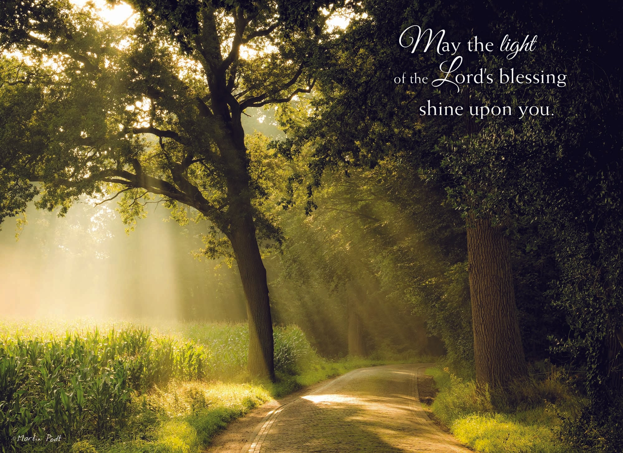 Christian Birthday Cards by Shared Blessings- Rays of Light, Box of 12 Cards