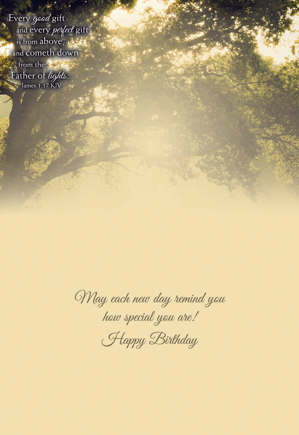 Christian Birthday Cards by Shared Blessings- Rays of Light, Box of 12 Cards