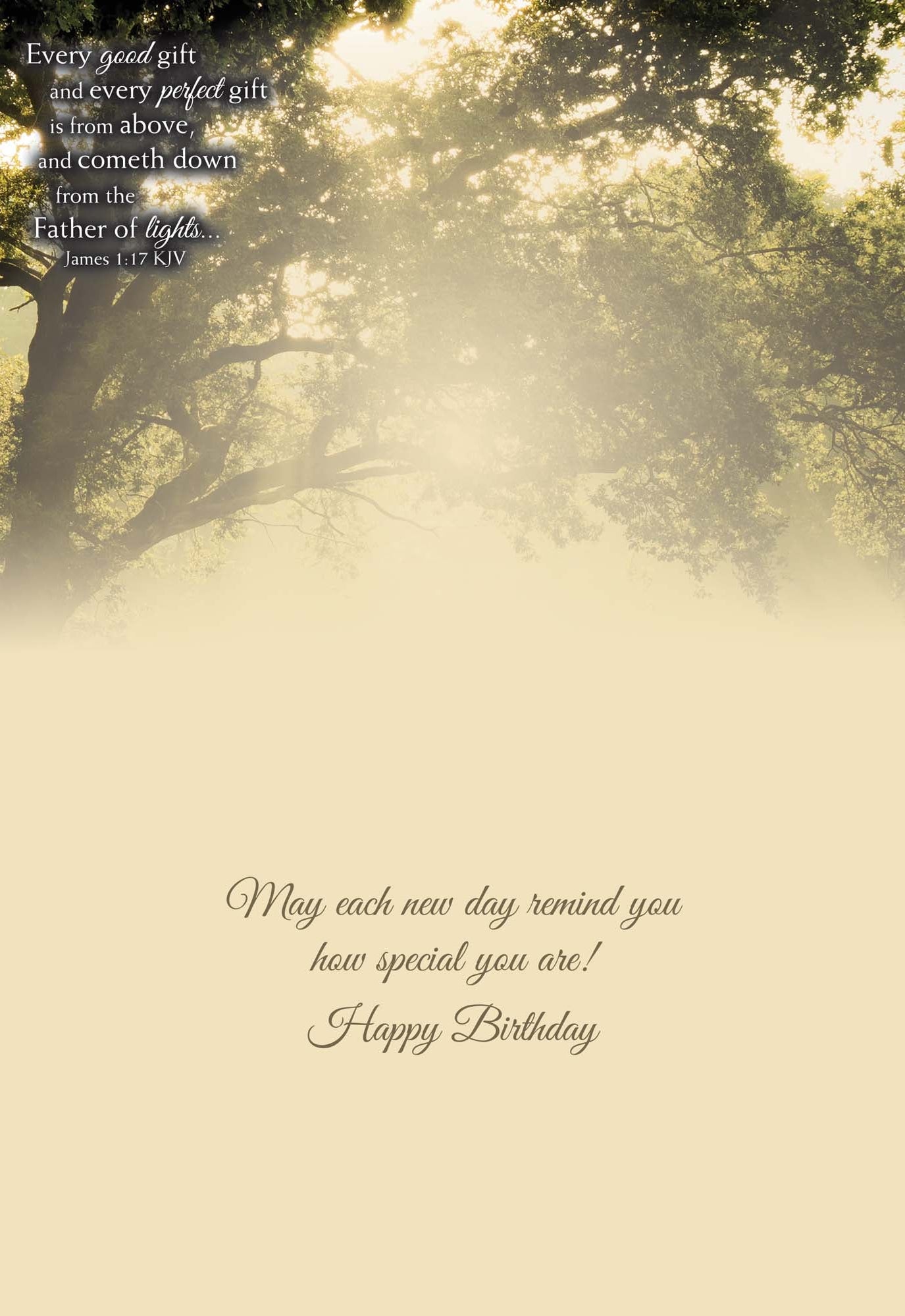Christian Birthday Cards by Shared Blessings - Celebrations, 48 Assorted Cards