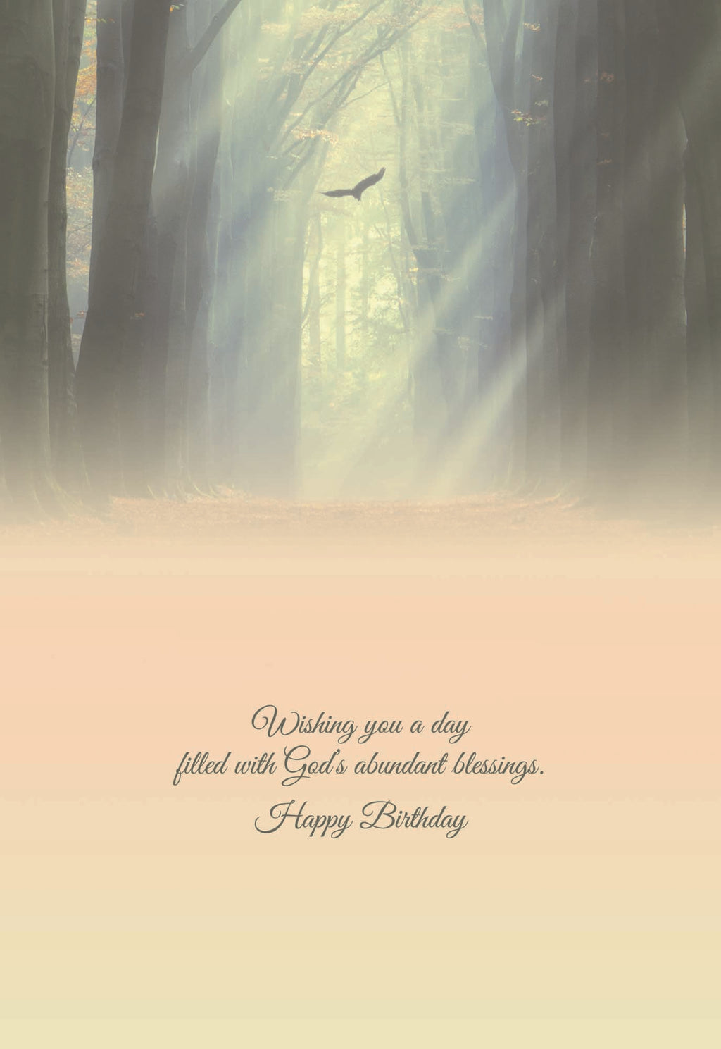 Christian Birthday Cards by Shared Blessings- Rays of Light, Box of 12 Cards