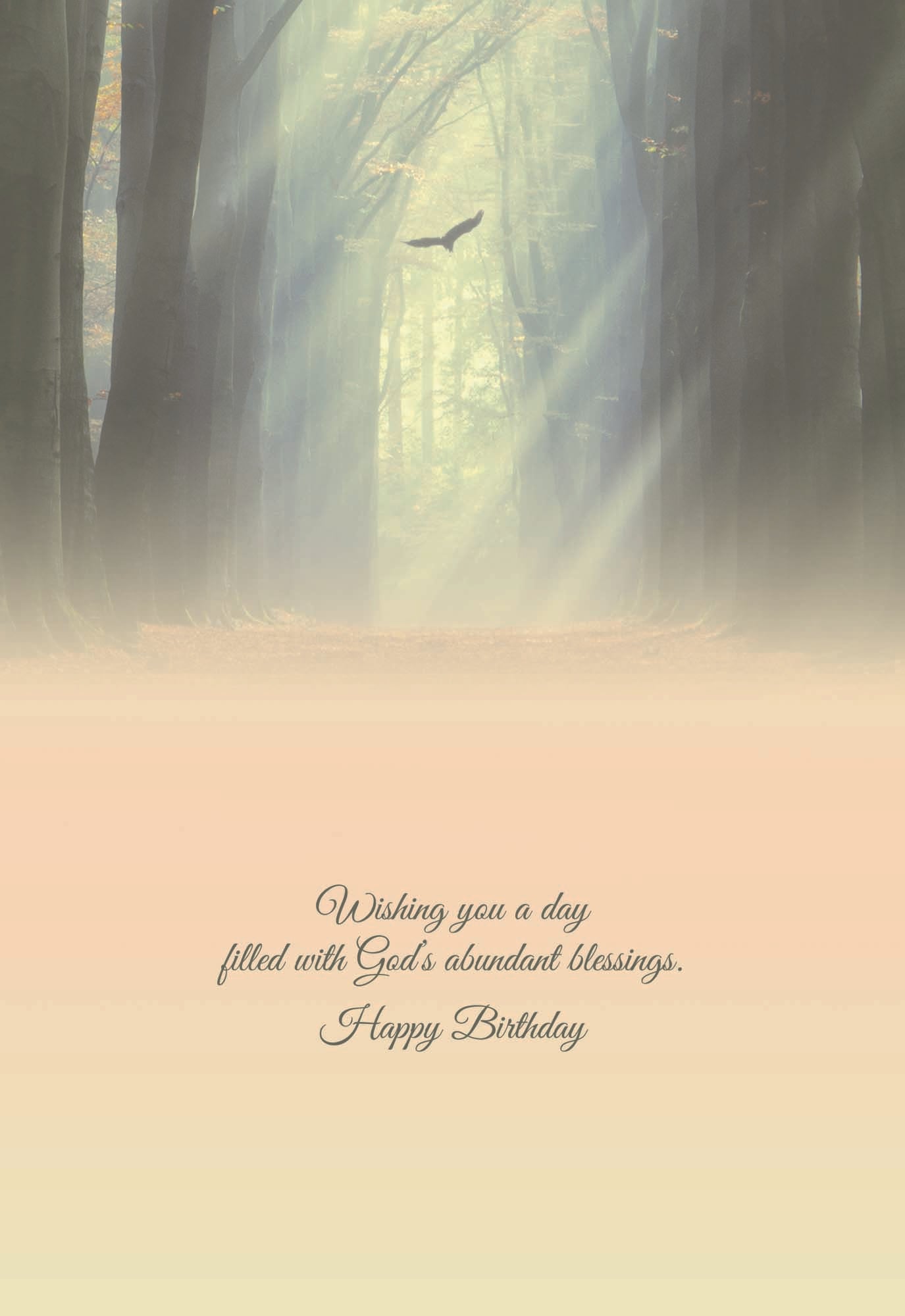 Christian Birthday Cards by Shared Blessings- Rays of Light, Box of 12 Cards