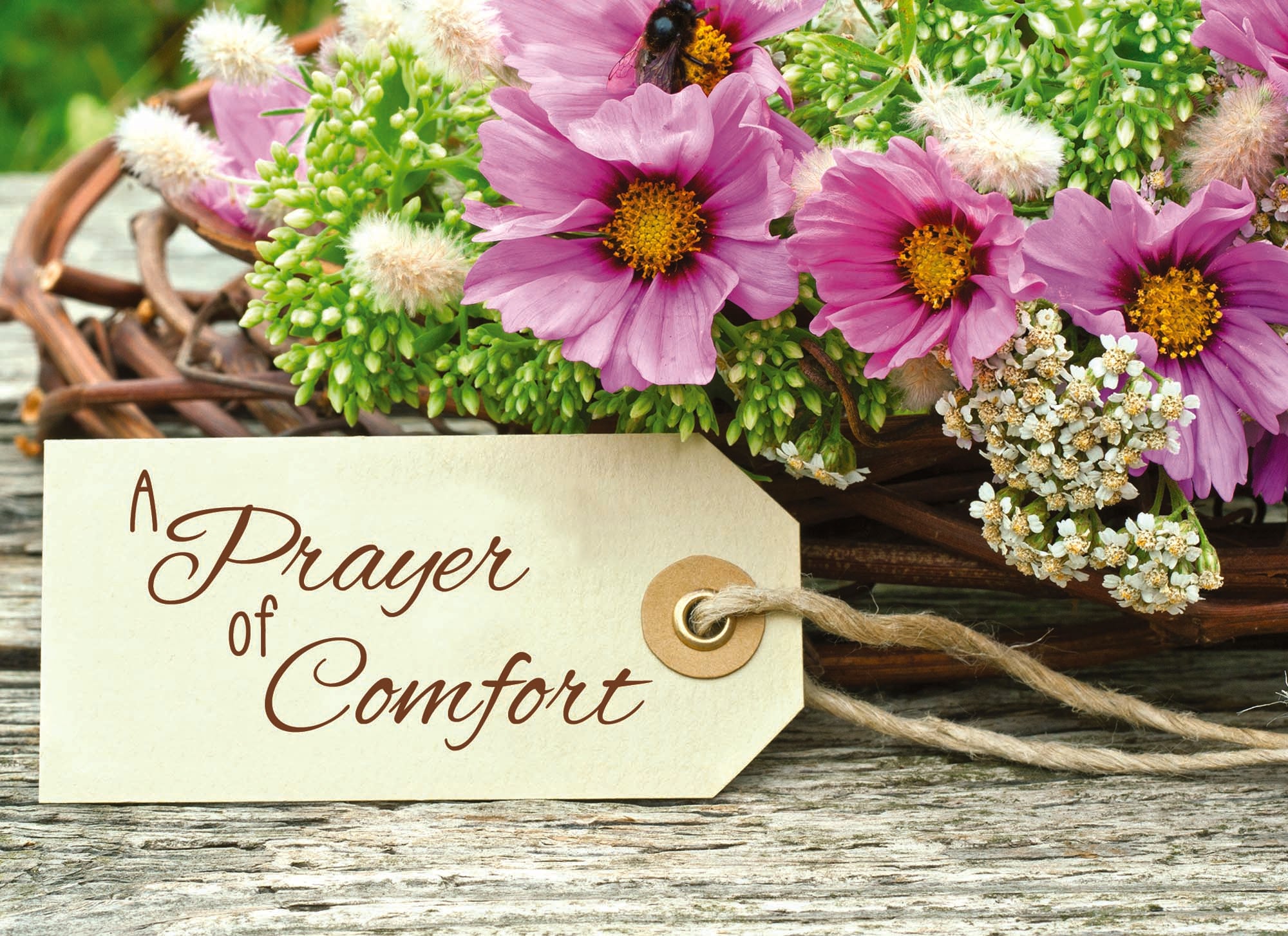 Christian Sympathy Cards by Shared Blessings | Rustic Flowers | 12 Boxed Sympathy Cards