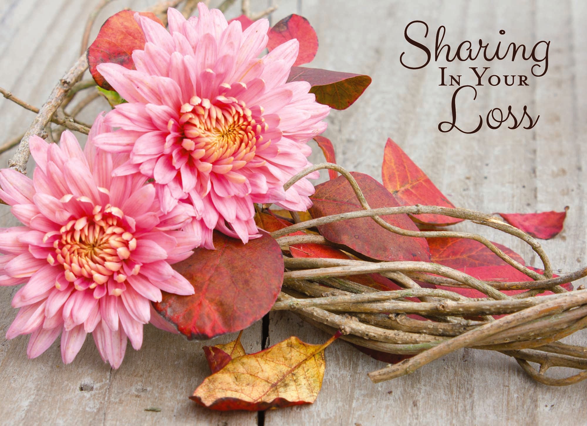 Christian Sympathy Cards by Shared Blessings | Rustic Flowers | 12 Boxed Sympathy Cards