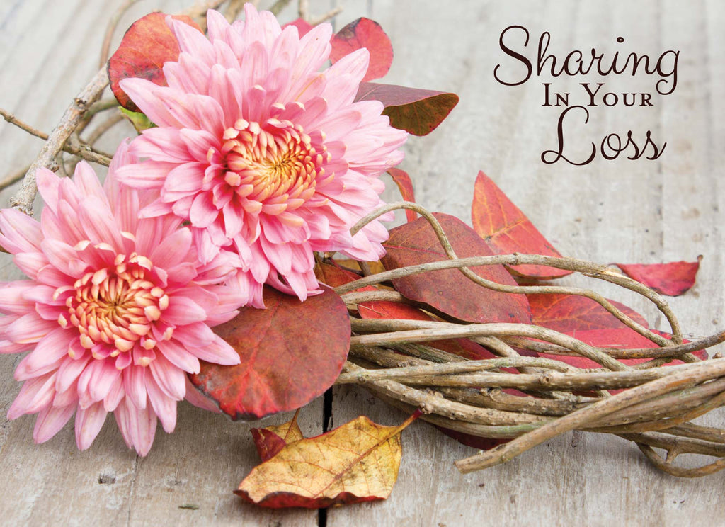 Religious Sympathy Cards | Thoughts of Sympathy - Box of 24 Assorted Sympathy Cards by Shared Blessings