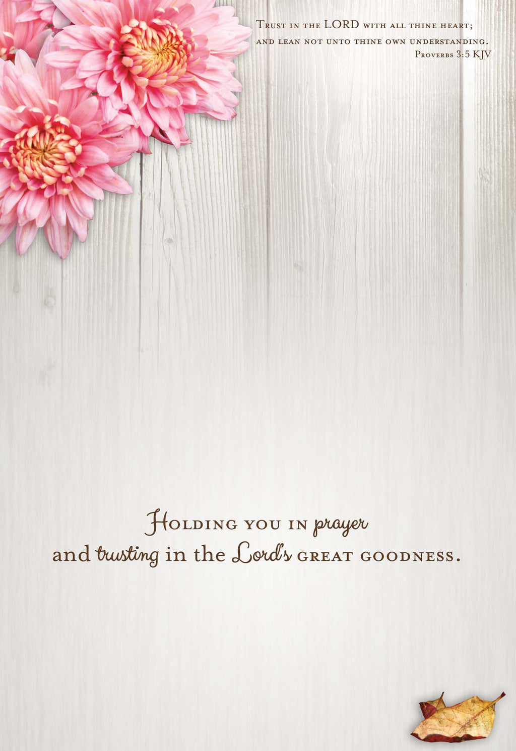 Religious Sympathy Cards | Thoughts of Sympathy - Box of 24 Assorted Sympathy Cards by Shared Blessings