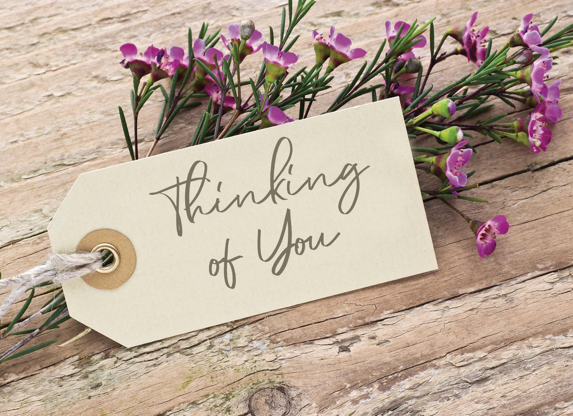 Religious Sympathy Cards | Thoughts of Sympathy - Box of 24 Assorted Sympathy Cards by Shared Blessings
