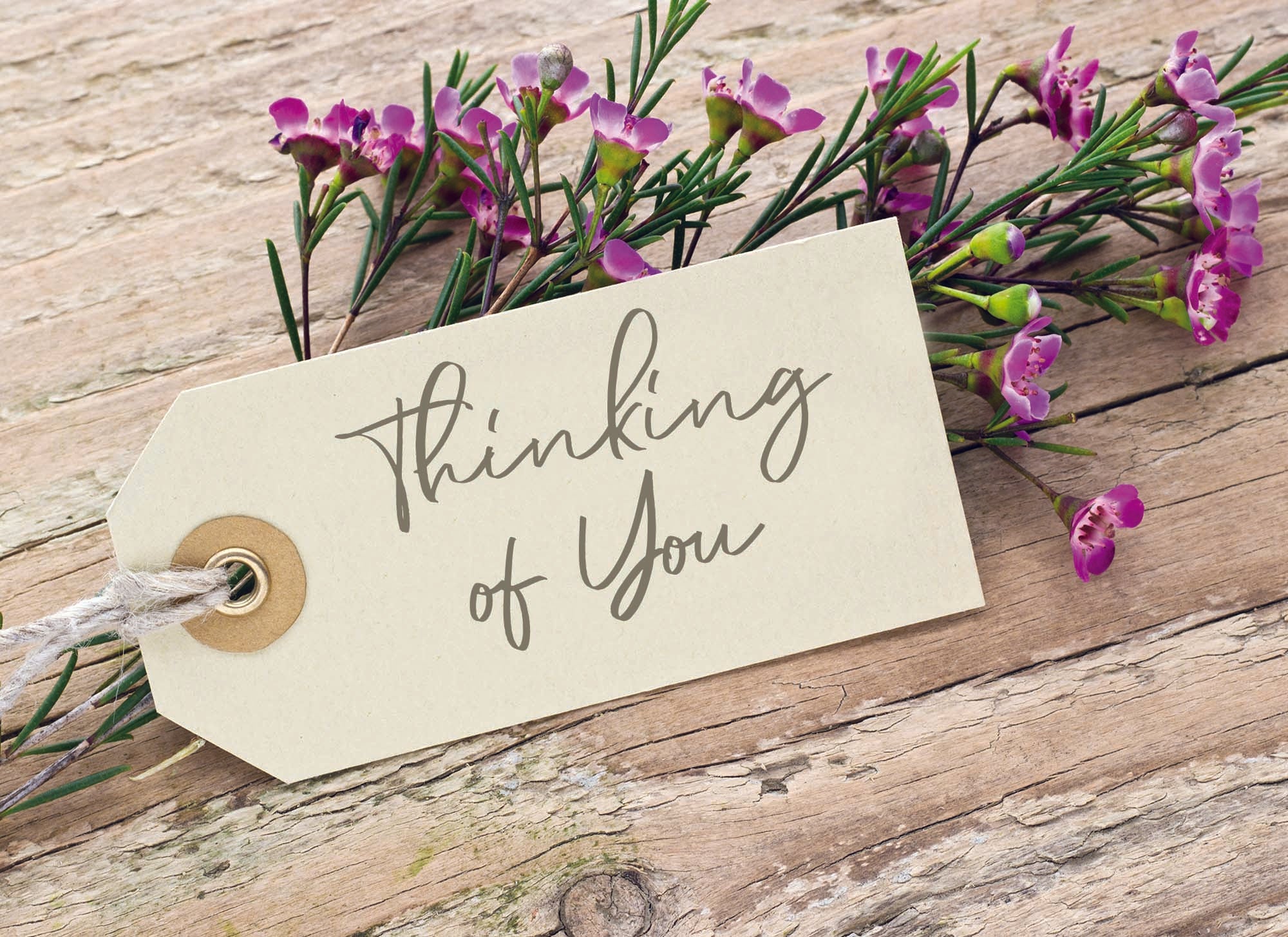 Value Assortment No.1 - Assorted All Occasion, Box of 48