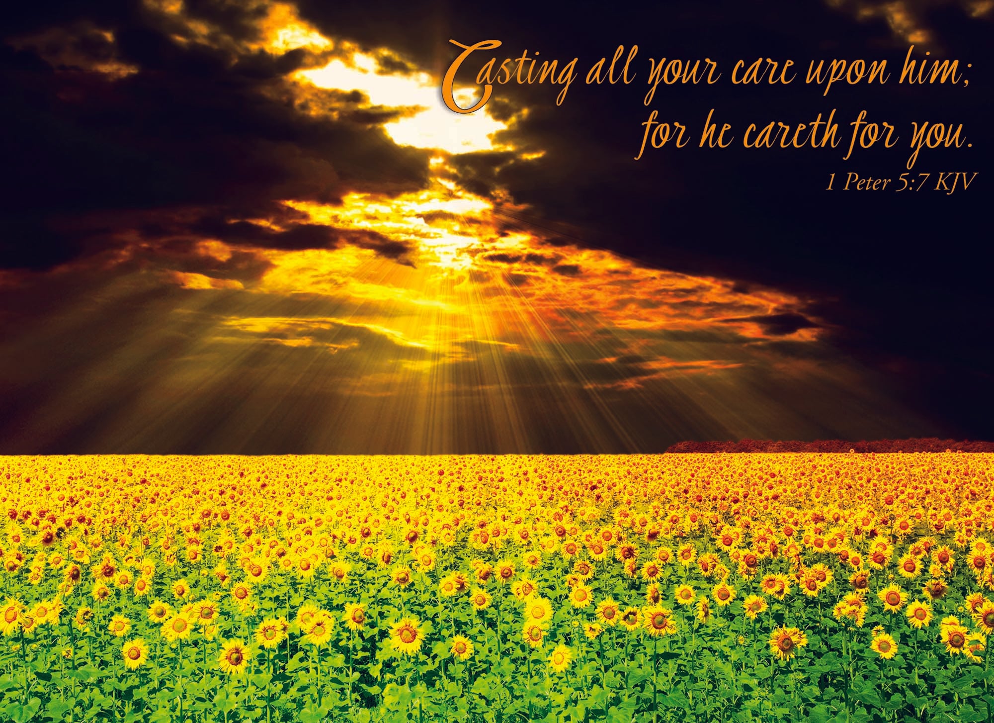 Christian Thinking of You Cards by Shared Blessings- Sunsets, 12 Cards and Envelopes