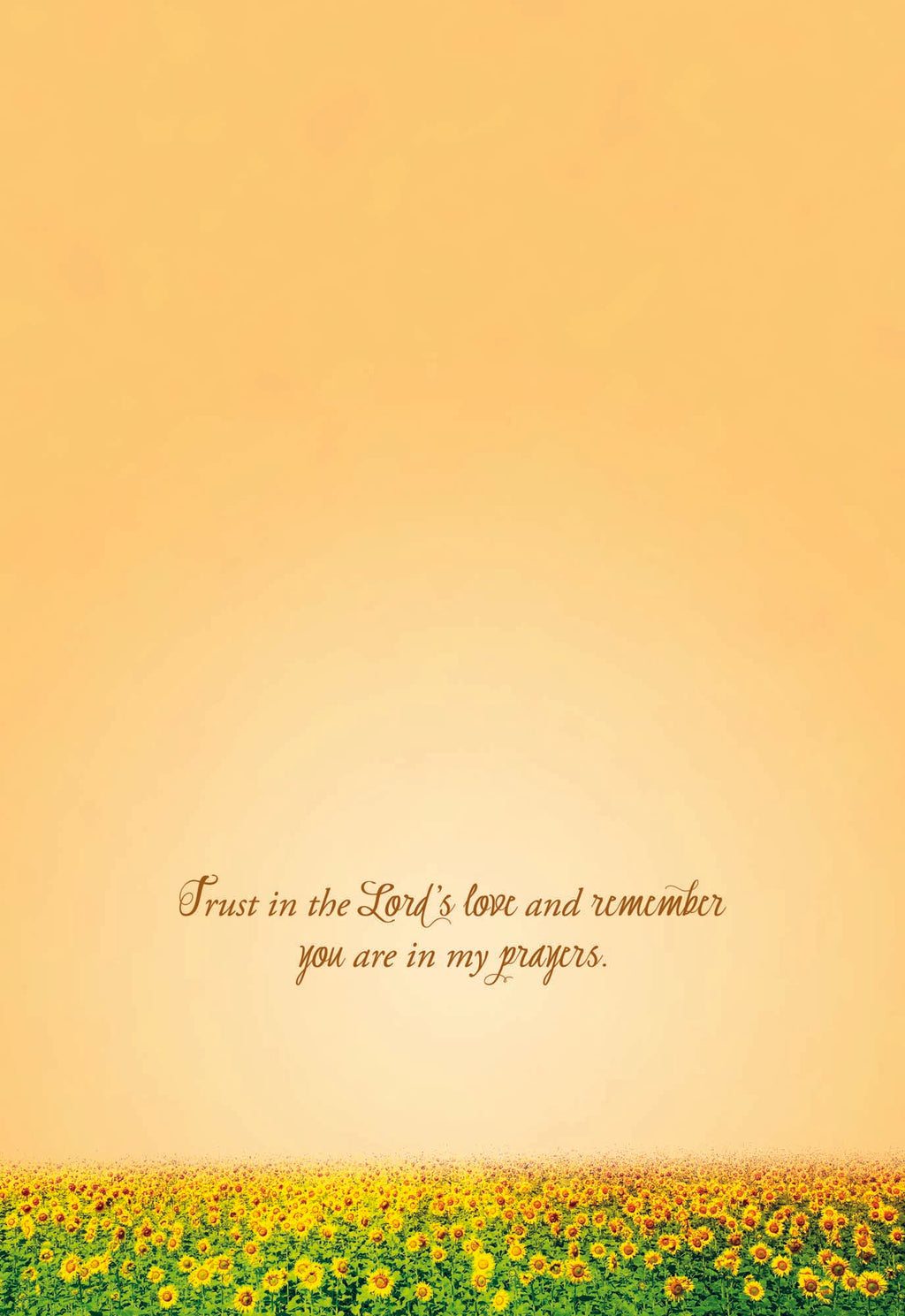 Christian Thinking of You Cards by Shared Blessings- Sunsets, 12 Cards and Envelopes