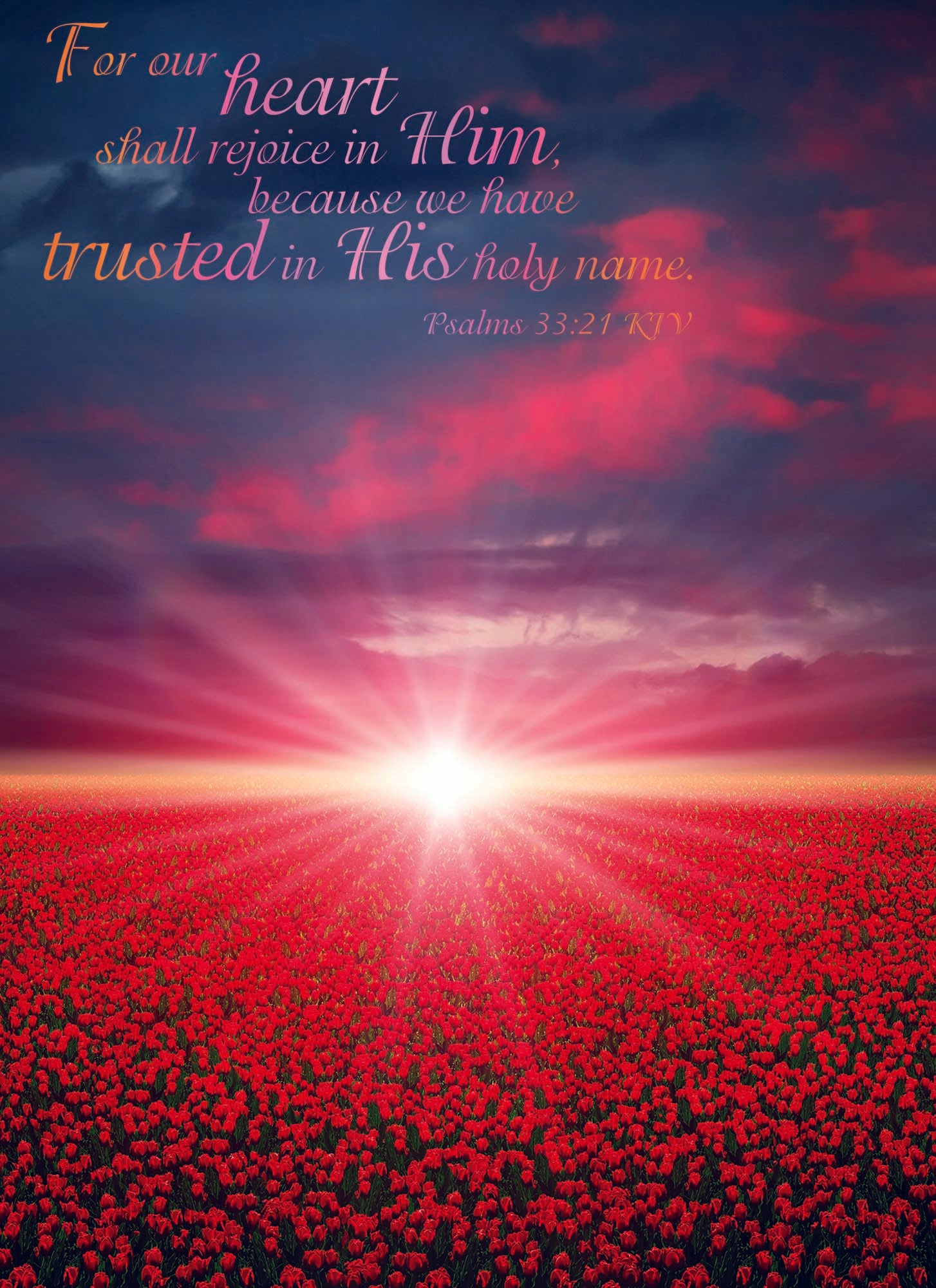 Christian Thinking of You Cards by Shared Blessings- Sunsets, 12 Cards and Envelopes