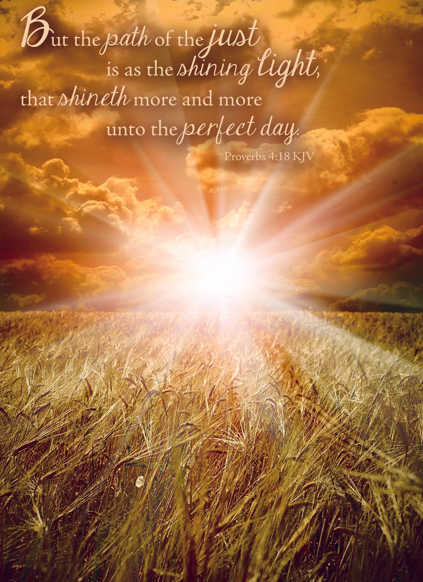 Christian Thinking of You Cards by Shared Blessings- Sunsets, 12 Cards and Envelopes