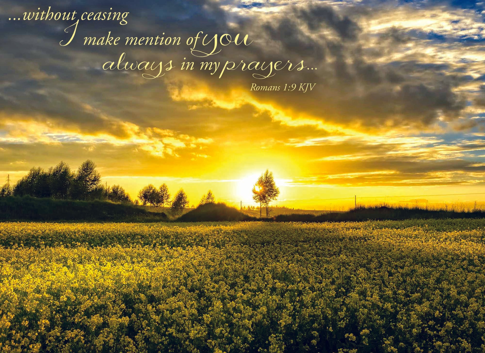 Christian Thinking of You Cards by Shared Blessings- Sunsets, 12 Cards and Envelopes