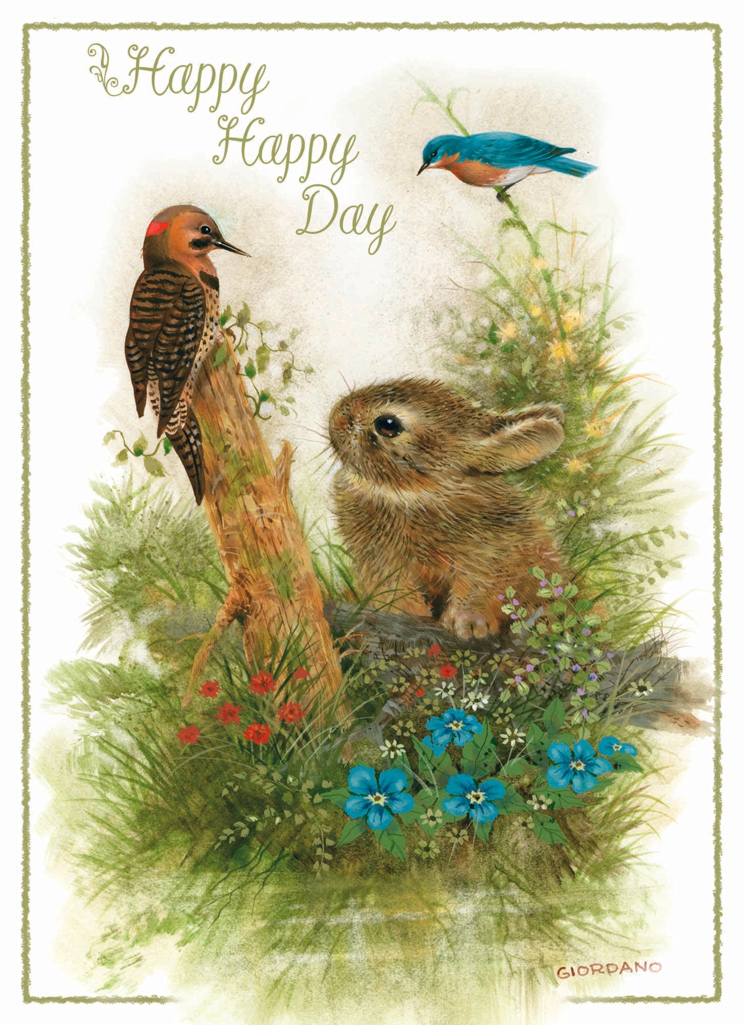 Christian Birthday Cards by Shared Blessings-Wee Wildlife, 12 Boxed Greeting Cards