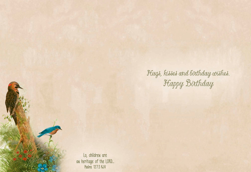 Christian Birthday Cards by Shared Blessings-Wee Wildlife, 12 Boxed Greeting Cards