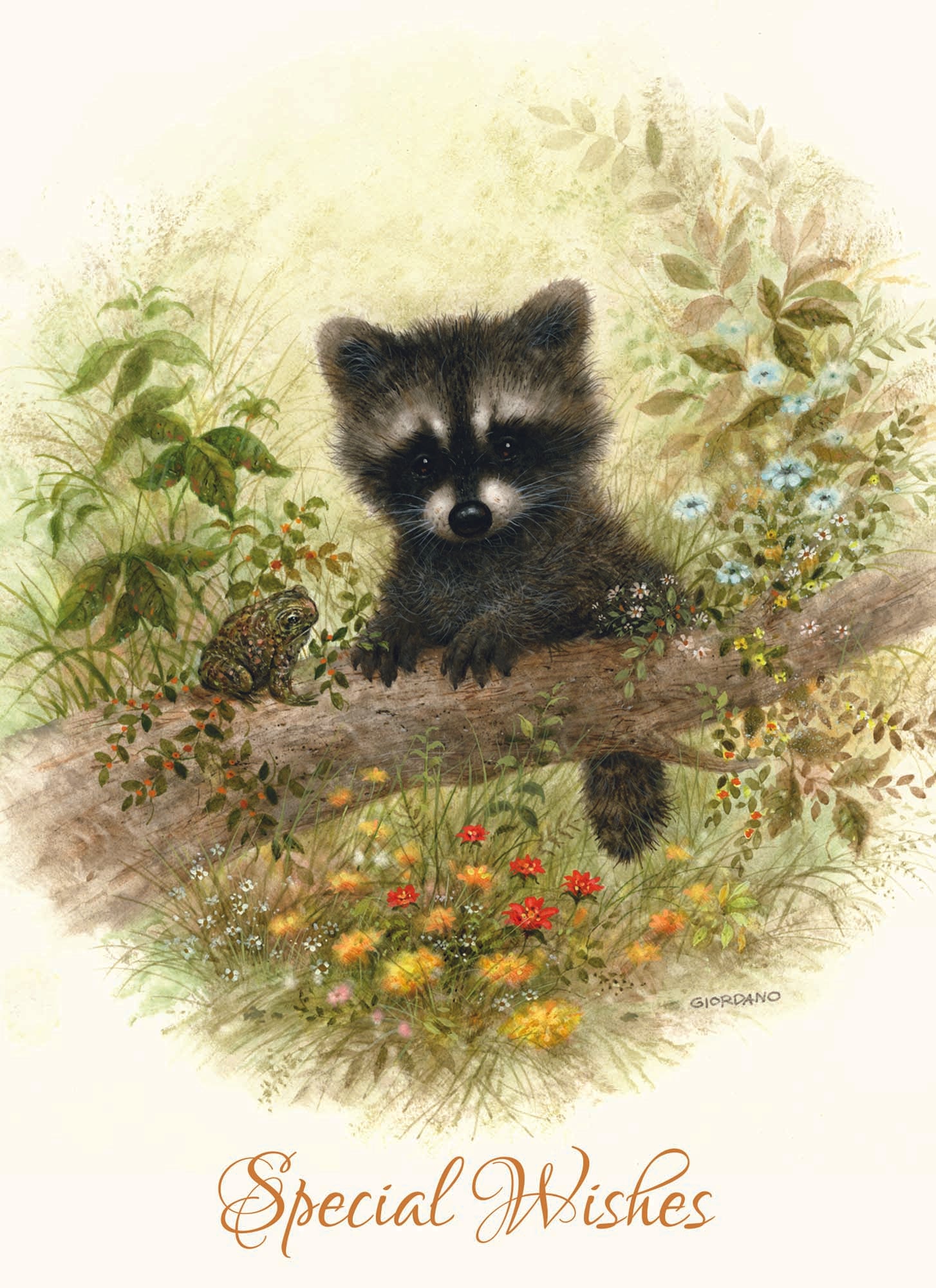 Christian Birthday Cards by Shared Blessings-Wee Wildlife, 12 Boxed Greeting Cards