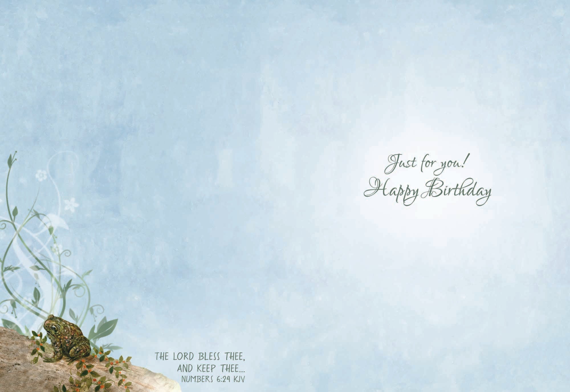 Christian Birthday Cards by Shared Blessings-Wee Wildlife, 12 Boxed Greeting Cards