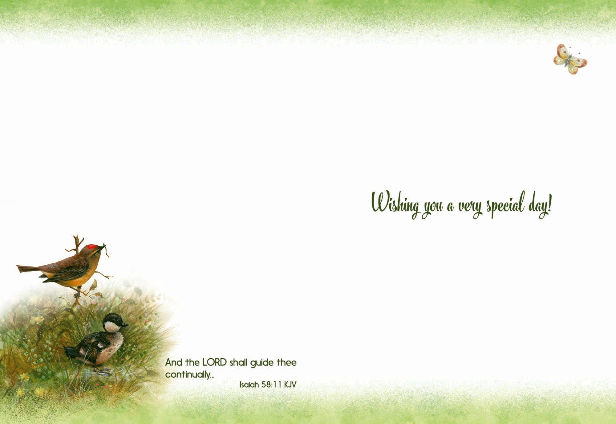 Christian Birthday Cards by Shared Blessings-Wee Wildlife, 12 Boxed Greeting Cards