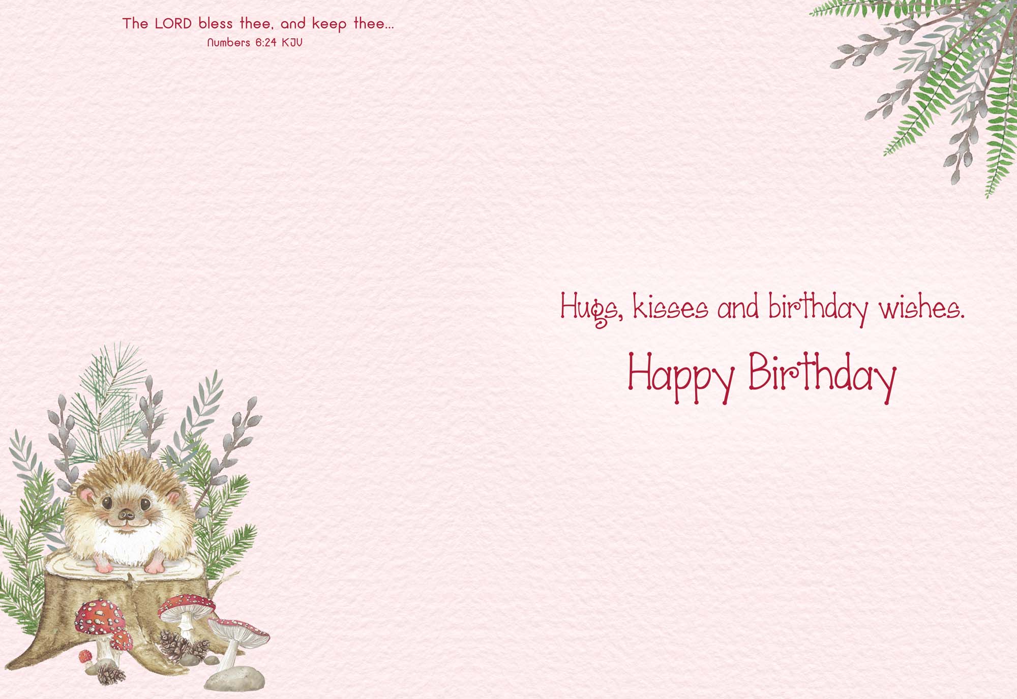 Christian Birthday Cards by Shared Blessings - Celebrations, 48 Assorted Cards