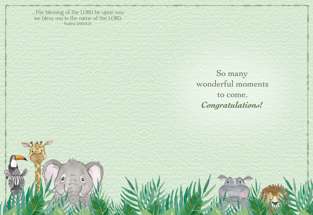 New Baby - Hello Baby!