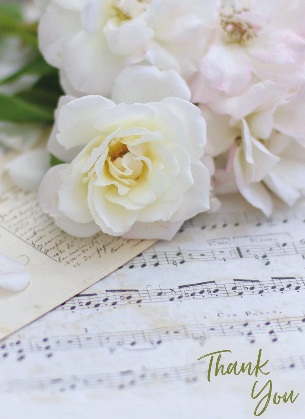 Value Assortment No.1 - Assorted All Occasion, Box of 48