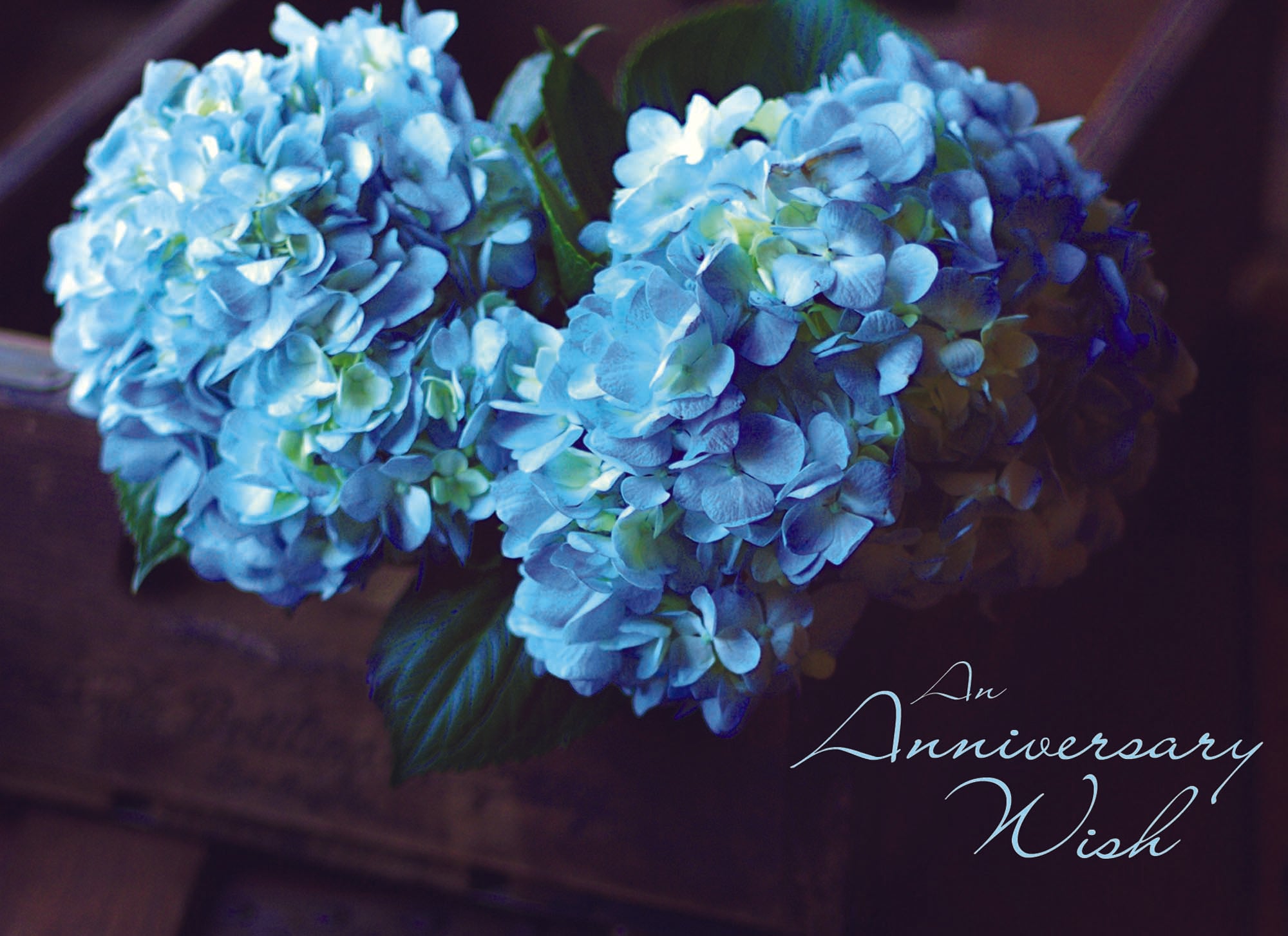 Christian Anniversary Cards by Shared Blessings | Anniversary Blessings | 12 Boxed Anniversary Cards with KJV Scripture