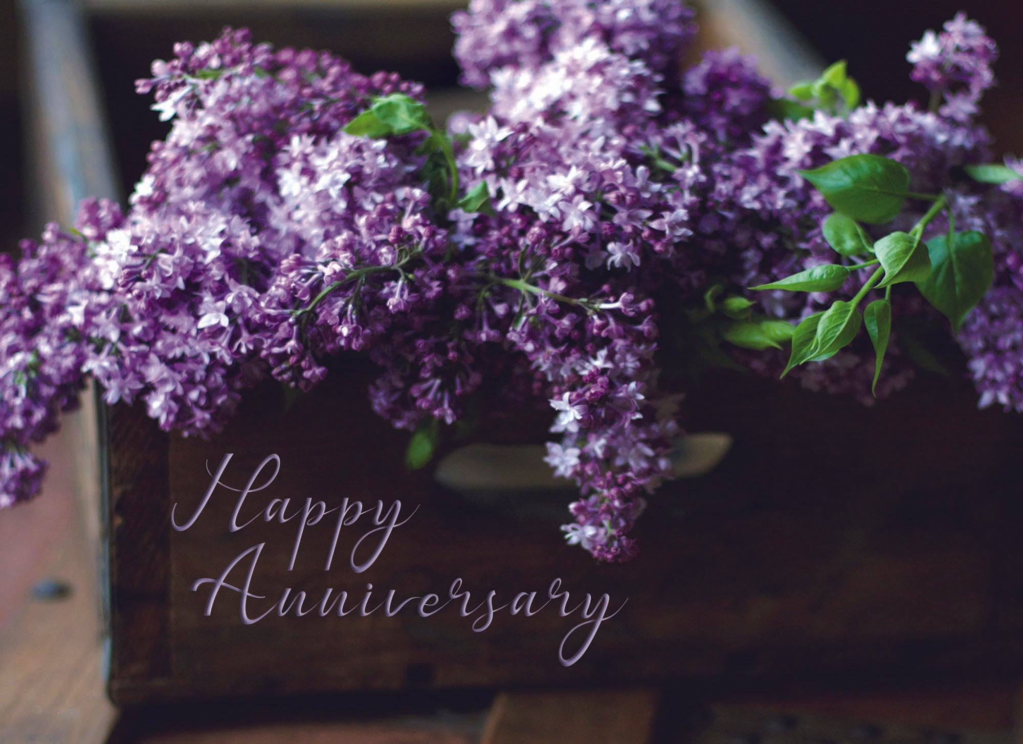 Christian Anniversary Cards by Shared Blessings | Anniversary Blessings | 12 Boxed Anniversary Cards with KJV Scripture