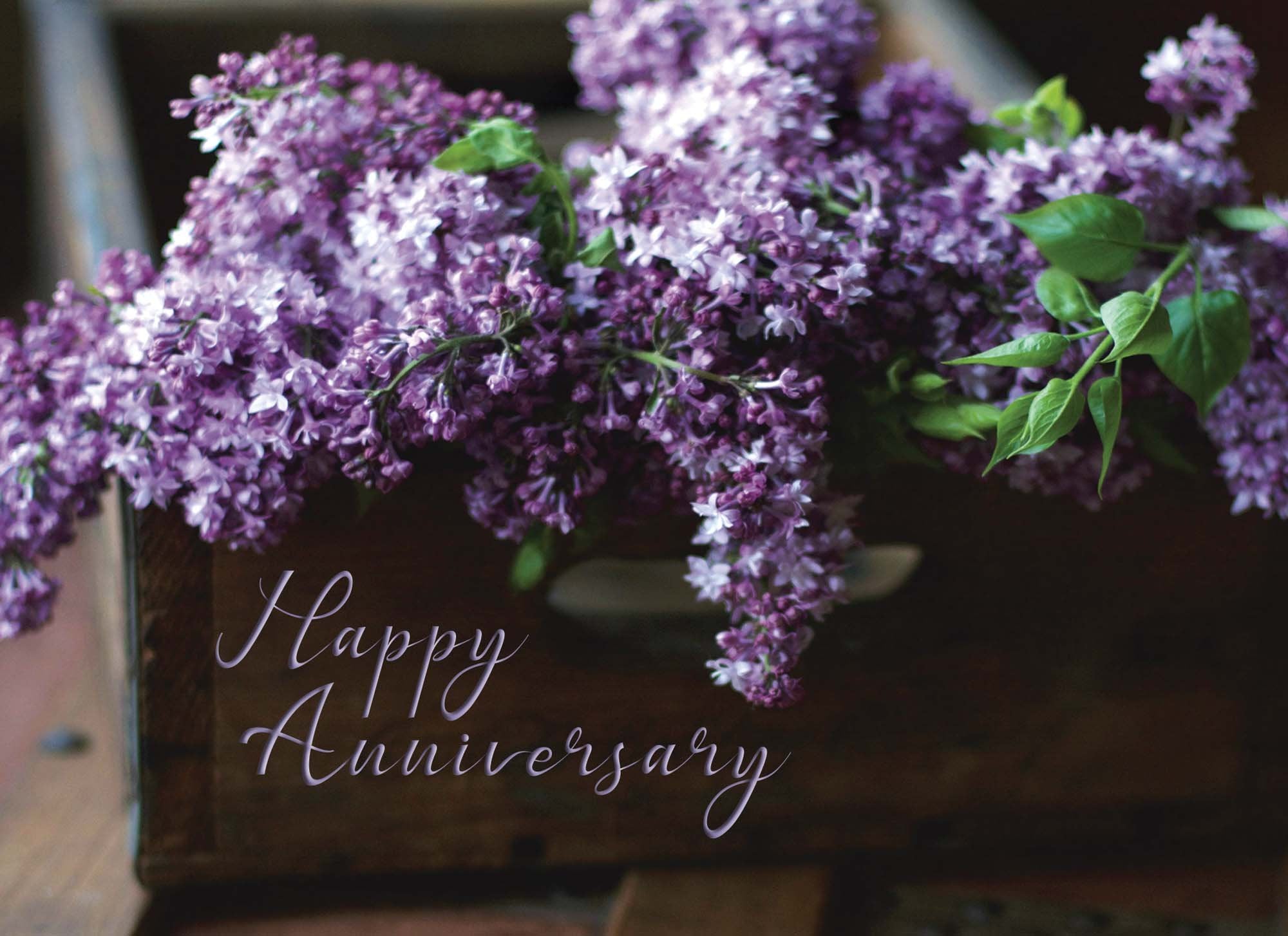 Forever Love Wedding and Anniversary Cards, 12 Boxed Greeting cards by Shared Blessings