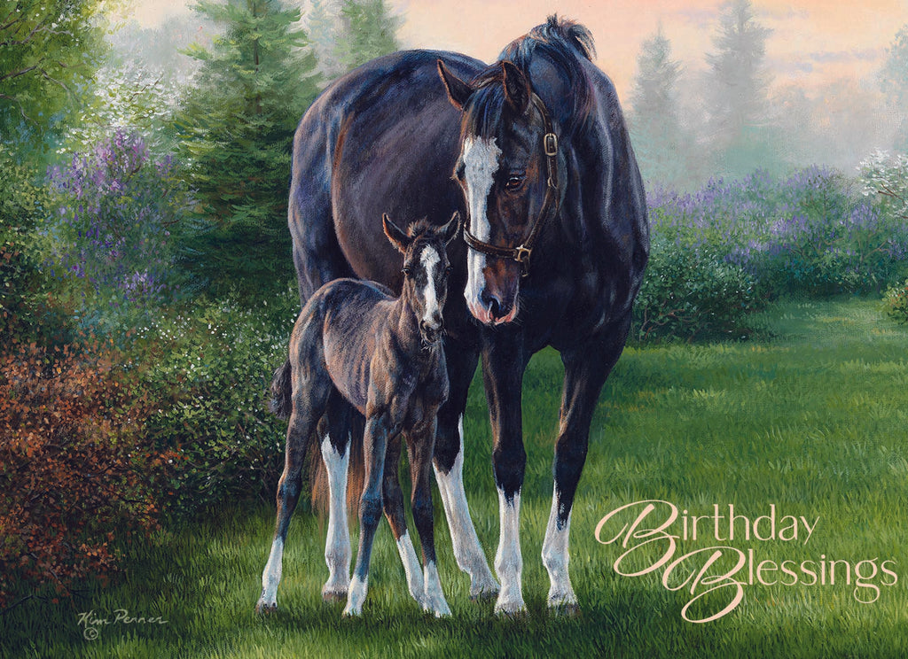 Christian Birthday Cards by Shared Blessings-Beginnings, 12 Cards