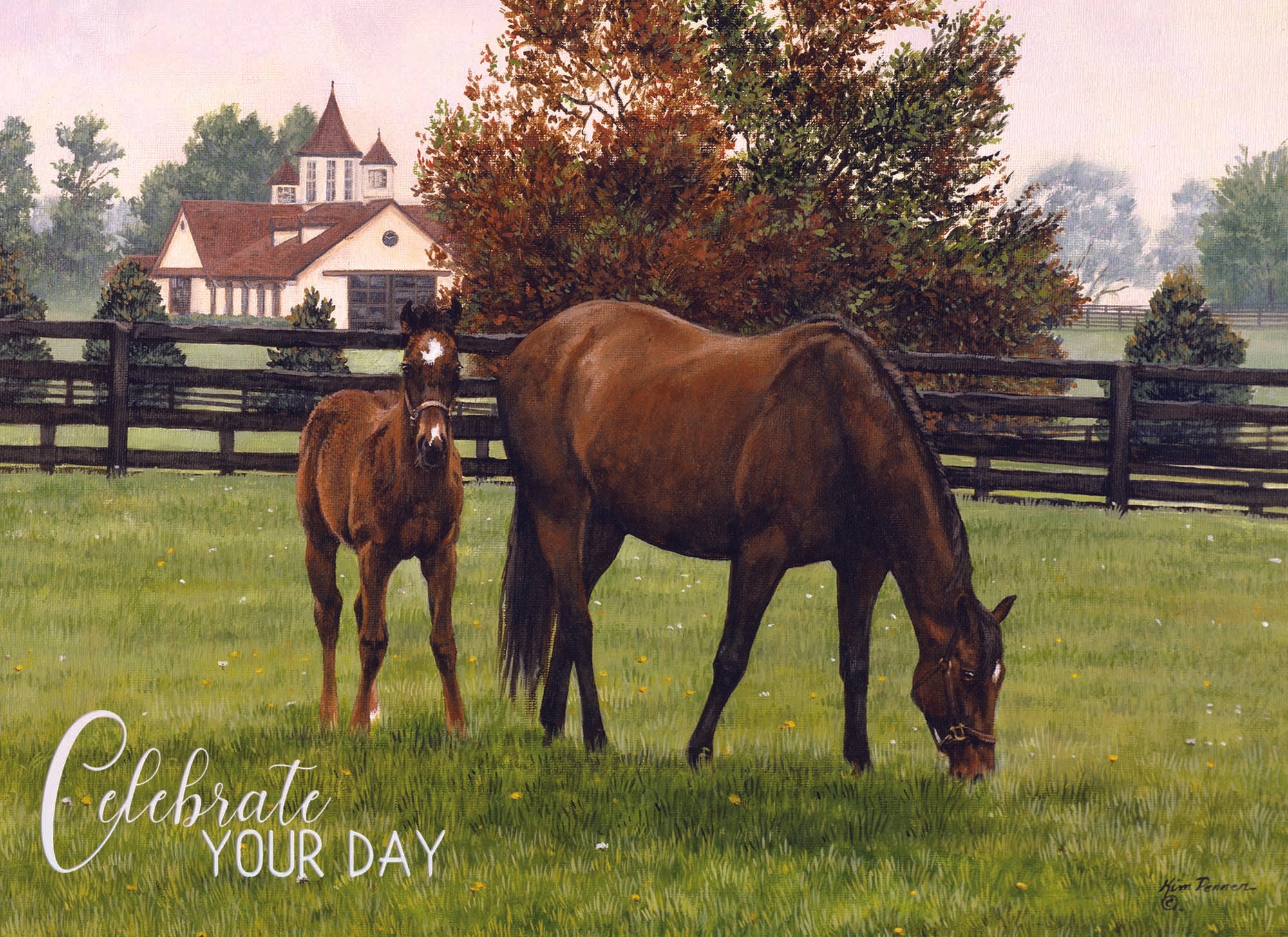 Christian Birthday Cards by Shared Blessings-Beginnings, 12 Cards