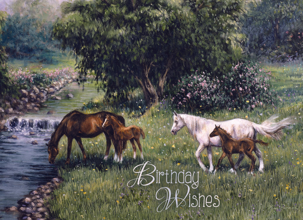 Christian Birthday Cards by Shared Blessings-Beginnings, 12 Cards